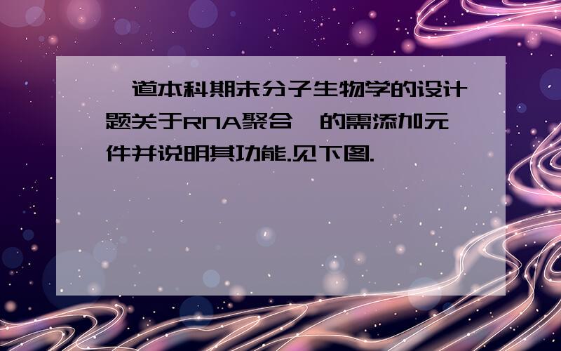 一道本科期末分子生物学的设计题关于RNA聚合酶的需添加元件并说明其功能.见下图.