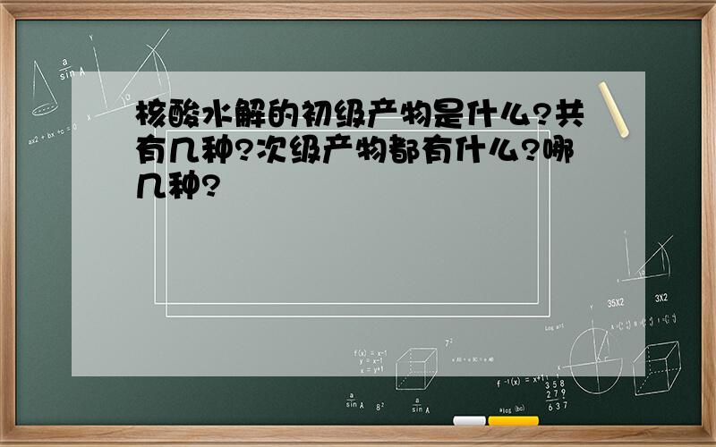 核酸水解的初级产物是什么?共有几种?次级产物都有什么?哪几种?