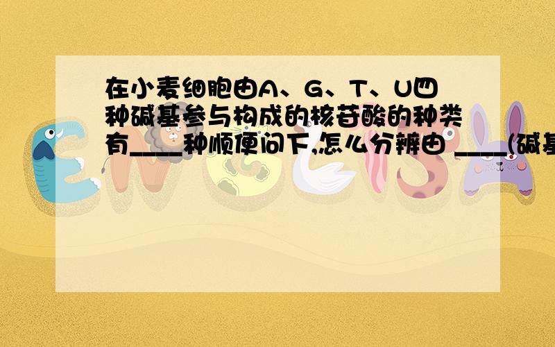 在小麦细胞由A、G、T、U四种碱基参与构成的核苷酸的种类有____种顺便问下,怎么分辨由 ____(碱基）构成核酸有___种?