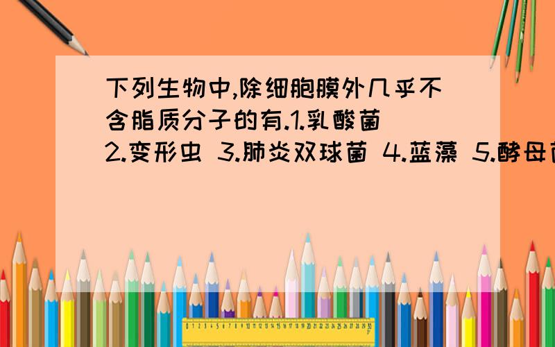 下列生物中,除细胞膜外几乎不含脂质分子的有.1.乳酸菌 2.变形虫 3.肺炎双球菌 4.蓝藻 5.酵母菌 A.235B.234 C.134 D.145