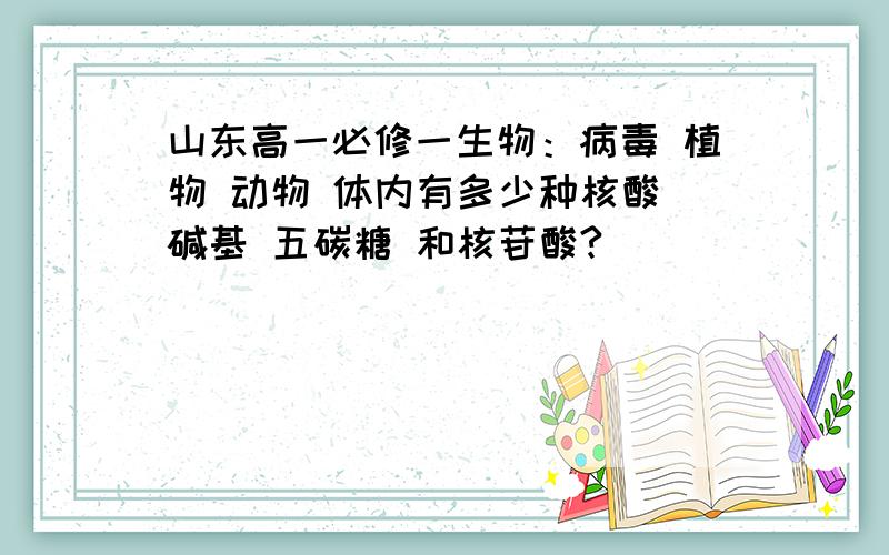 山东高一必修一生物：病毒 植物 动物 体内有多少种核酸 碱基 五碳糖 和核苷酸?