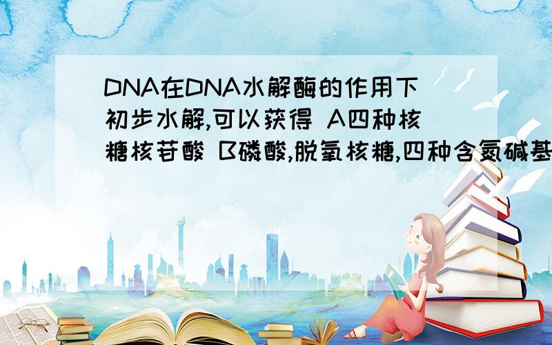 DNA在DNA水解酶的作用下初步水解,可以获得 A四种核糖核苷酸 B磷酸,脱氧核糖,四种含氮碱基 C四种脱氧核苷酸D磷酸,核糖,四种含氮碱基