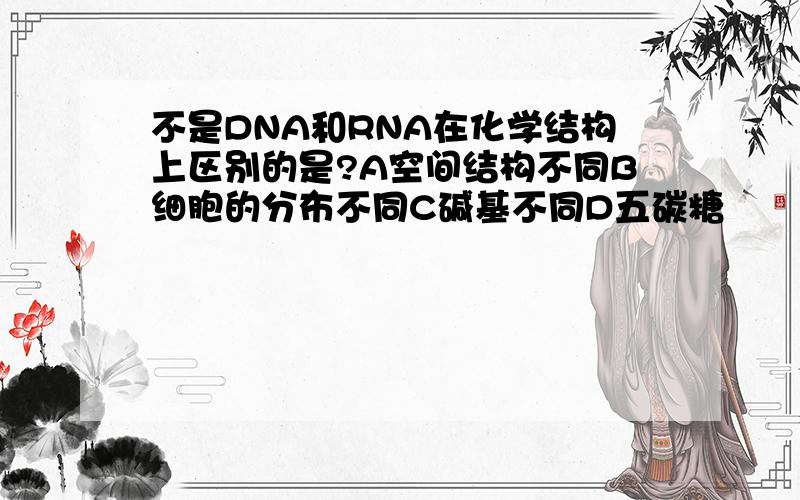 不是DNA和RNA在化学结构上区别的是?A空间结构不同B细胞的分布不同C碱基不同D五碳糖