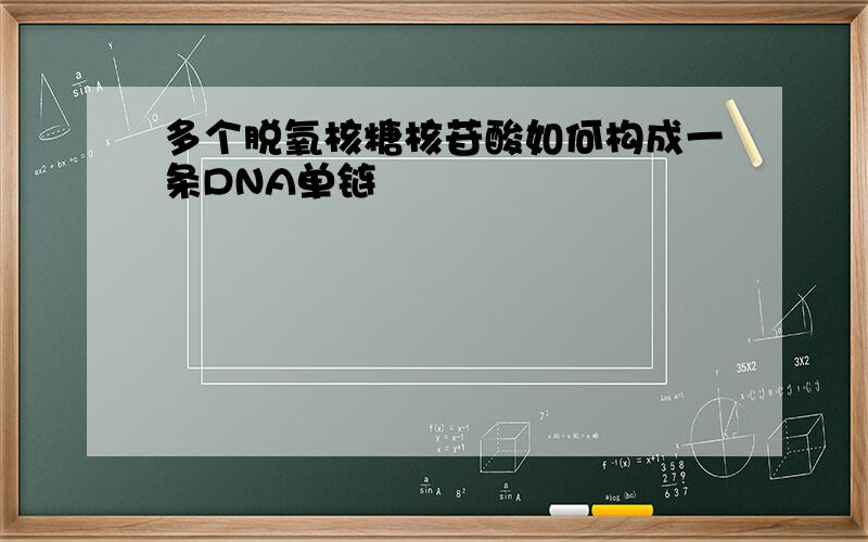 多个脱氧核糖核苷酸如何构成一条DNA单链