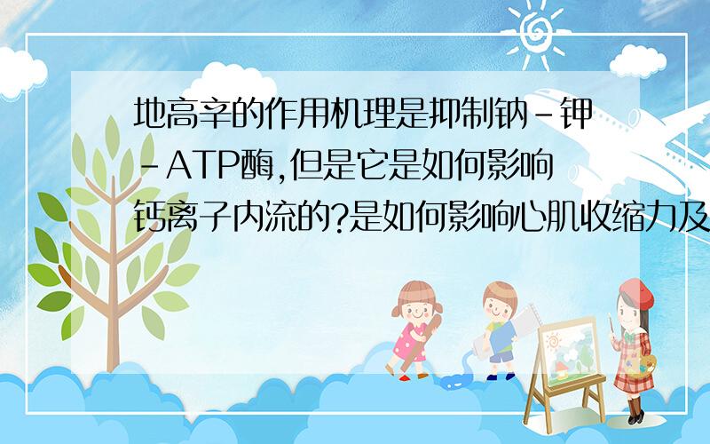 地高辛的作用机理是抑制钠-钾-ATP酶,但是它是如何影响钙离子内流的?是如何影响心肌收缩力及心率的?