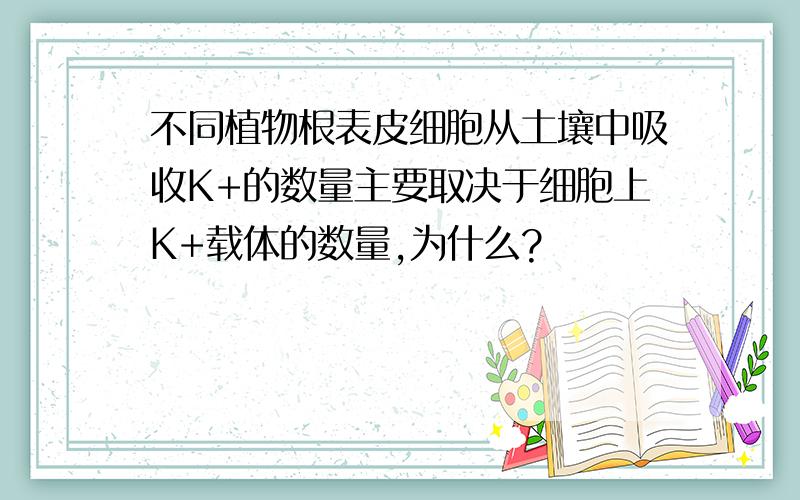 不同植物根表皮细胞从土壤中吸收K+的数量主要取决于细胞上K+载体的数量,为什么?