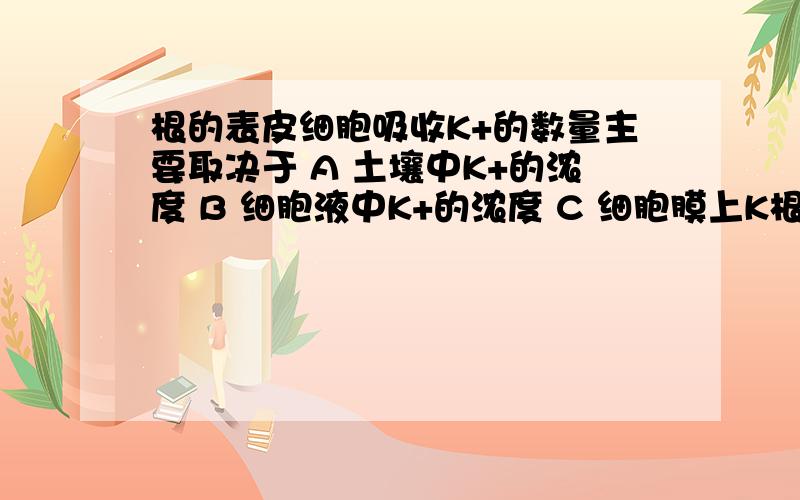 根的表皮细胞吸收K+的数量主要取决于 A 土壤中K+的浓度 B 细胞液中K+的浓度 C 细胞膜上K根的表皮细胞吸收K+的数量主要取决于A 土壤中K+的浓度B 细胞液中K+的浓度C 细胞膜上K+载体的数量D 土