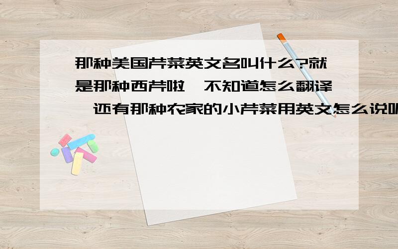 那种美国芹菜英文名叫什么?就是那种西芹啦,不知道怎么翻译,还有那种农家的小芹菜用英文怎么说呢?别告诉我两个是一样的,呵呵.