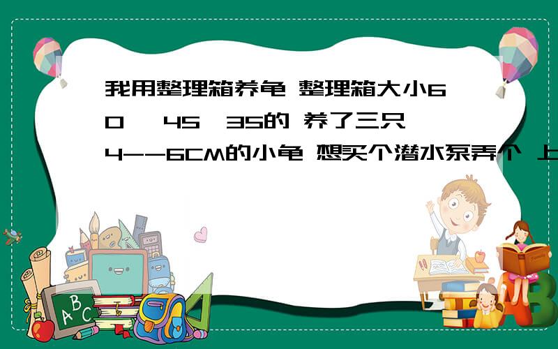 我用整理箱养龟 整理箱大小60 *45*35的 养了三只4--6CM的小龟 想买个潜水泵弄个 上滤 滤盒DIY的话 用什么东西做比较好 潜水泵不知道哪个牌子的好点 多大瓦数的呢?各位大侠教教我 复制的就别