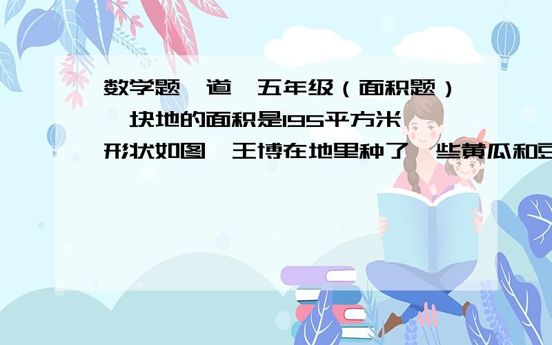 数学题一道,五年级（面积题）一块地的面积是195平方米,形状如图,王博在地里种了一些黄瓜和豆角,求种黄瓜的地的面积（阴影部分）注意：我吐上的梯形上底的两个字是：6m这是我们卷子上