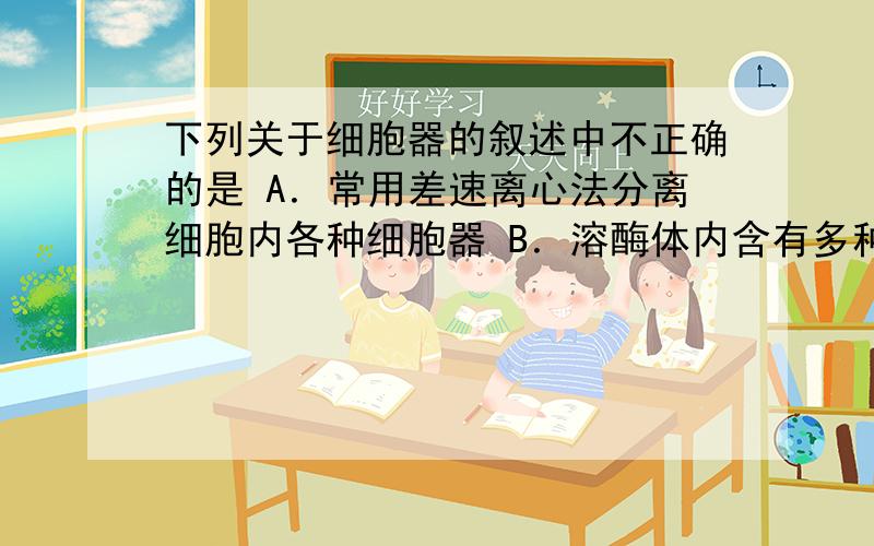 下列关于细胞器的叙述中不正确的是 A．常用差速离心法分离细胞内各种细胞器 B．溶酶体内含有多种水解酶,能吞噬并杀死侵入细胞的病毒或病菌 C．中心体广泛分布于动物及低等植物细胞内