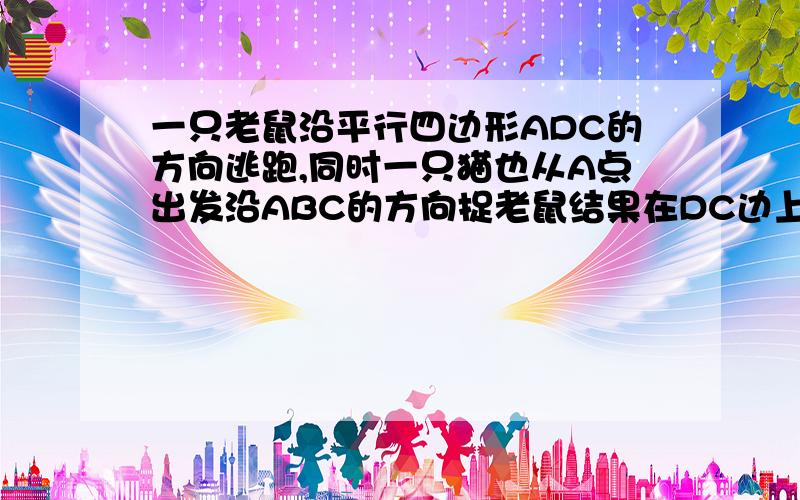 一只老鼠沿平行四边形ADC的方向逃跑,同时一只猫也从A点出发沿ABC的方向捉老鼠结果在DC边上的E点捉住老鼠已知老鼠的速度是猫的速度的5/7,CE长6厘米求猫跑了多少米?