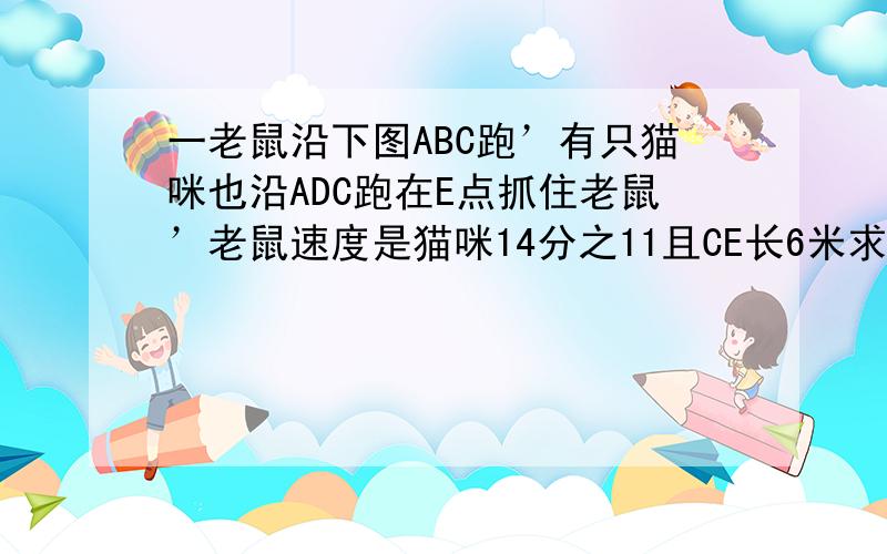 一老鼠沿下图ABC跑’有只猫咪也沿ADC跑在E点抓住老鼠’老鼠速度是猫咪14分之11且CE长6米求下图周长看不懂请回复