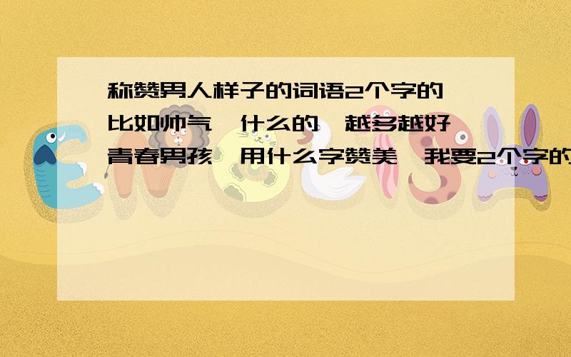 称赞男人样子的词语2个字的,比如帅气,什么的,越多越好,青春男孩,用什么字赞美,我要2个字的!