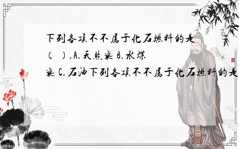 下列各项不不属于化石燃料的是（ ）.A.天然气 B.水煤气 C.石油下列各项不不属于化石燃料的是（ ）.A.天然气 B.水煤气 C.石油 D.烟煤