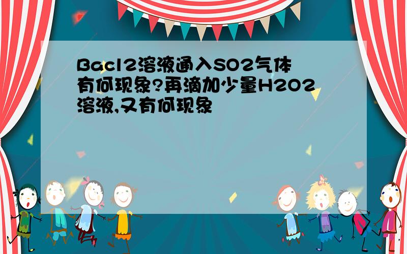 Bacl2溶液通入SO2气体有何现象?再滴加少量H2O2溶液,又有何现象