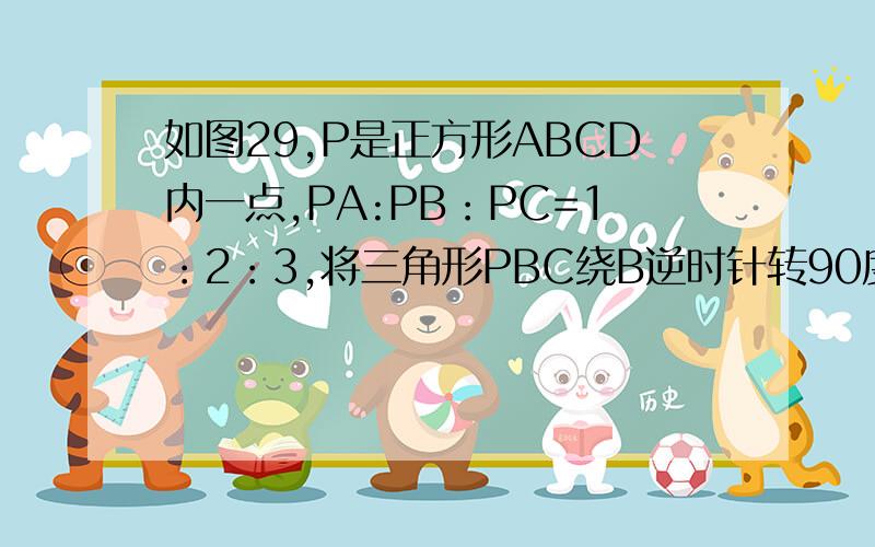 如图29,P是正方形ABCD内一点,PA:PB：PC=1：2：3,将三角形PBC绕B逆时针转90度,到三角形QAB的位置.1.求PQ：PB的值；2.角APB的度数