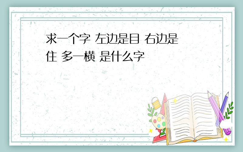 求一个字 左边是目 右边是 住 多一横 是什么字