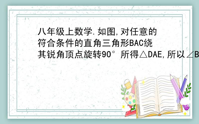 八年级上数学.如图,对任意的符合条件的直角三角形BAC绕其锐角顶点旋转90°所得△DAE,所以∠BAE=90°,且四边形ACFD是一个正方形,它的面积和四边行ACFD面积相等,而四边形ABFE面积等于Rt△BAE和Rt△