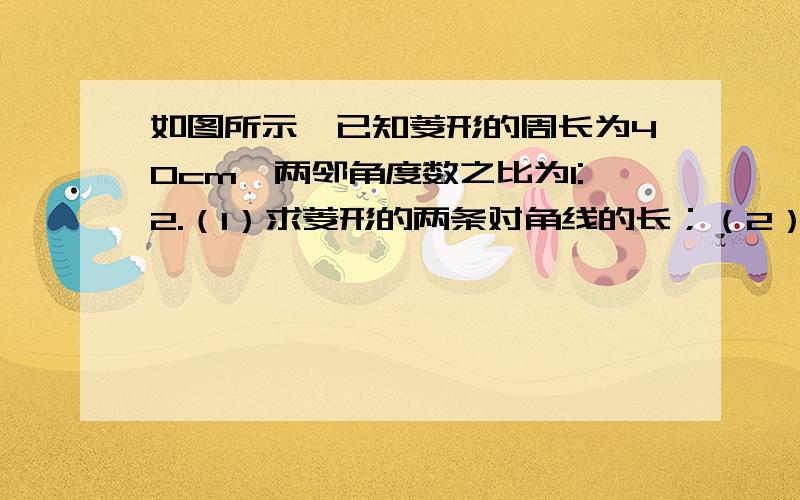 如图所示,已知菱形的周长为40cm,两邻角度数之比为1:2.（1）求菱形的两条对角线的长；（2）求菱形的面积