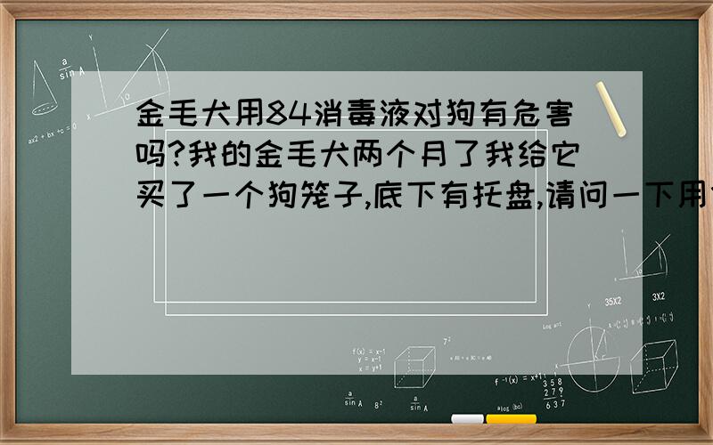 金毛犬用84消毒液对狗有危害吗?我的金毛犬两个月了我给它买了一个狗笼子,底下有托盘,请问一下用什么消毒液对狗狗的身体没有危害?