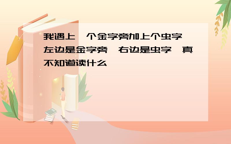 我遇上一个金字旁加上个虫字,左边是金字旁,右边是虫字,真不知道读什么,