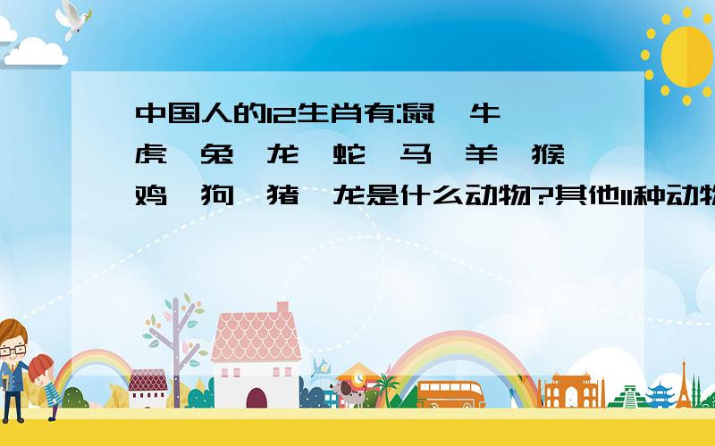 中国人的12生肖有:鼠、牛、虎、兔、龙、蛇、马、羊、猴、鸡、狗、猪,龙是什么动物?其他11种动物分别属于哪些动物类群?