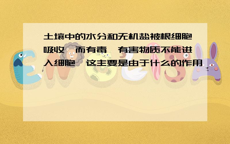 土壤中的水分和无机盐被根细胞吸收,而有毒、有害物质不能进入细胞,这主要是由于什么的作用