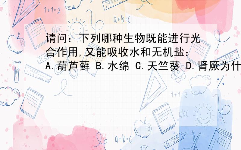 请问：下列哪种生物既能进行光合作用,又能吸收水和无机盐：A.葫芦藓 B.水绵 C.天竺葵 D.肾厥为什么答案是C呢？水绵没根不能吸收水和无机盐啊！它只能通过导管来运输啊