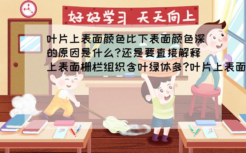 叶片上表面颜色比下表面颜色深的原因是什么?还是要直接解释上表面栅栏组织含叶绿体多?叶片上表面颜色比下表面颜色深的原因是什么?叶片上表面含叶绿体多.还是要直接解释上表面栅栏组