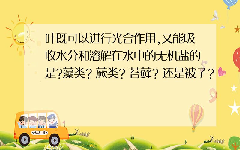 叶既可以进行光合作用,又能吸收水分和溶解在水中的无机盐的是?藻类？蕨类？苔藓？还是被子？