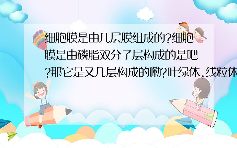 细胞膜是由几层膜组成的?细胞膜是由磷脂双分子层构成的是吧?那它是又几层构成的嘞?叶绿体,线粒体都是两层膜对吧?