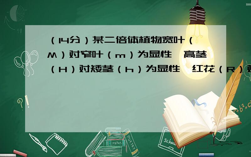 （14分）某二倍体植物宽叶（M）对窄叶（m）为显性,高茎（H）对矮茎（h）为显性,红花（R）对白花（r）为显性.基因M、m与基因R、r在2号染色体上,基因H、h在4号染色体上现有一宽叶红花突变