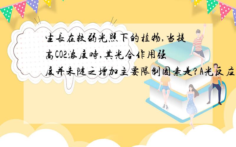 生长在较弱光照下的植物,当提高CO2浓度时,其光合作用强度并未随之增加主要限制因素是?A光反应 B温度如果是因为光照弱的关系,温度低,酶活性降低导致,能选B么.求详解