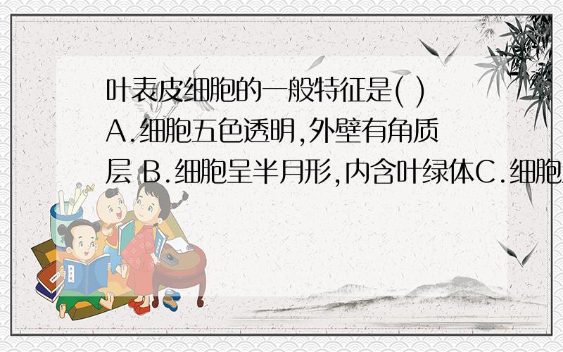 叶表皮细胞的一般特征是( )A.细胞五色透明,外壁有角质层 B.细胞呈半月形,内含叶绿体C.细胞呈正方形,捧列紧密 D.细胞呈圆柱状,内有叶绿体