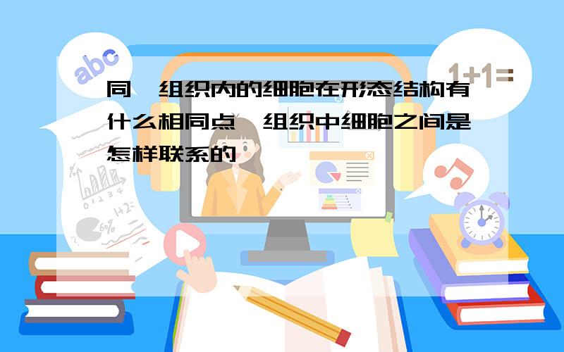 同一组织内的细胞在形态结构有什么相同点,组织中细胞之间是怎样联系的