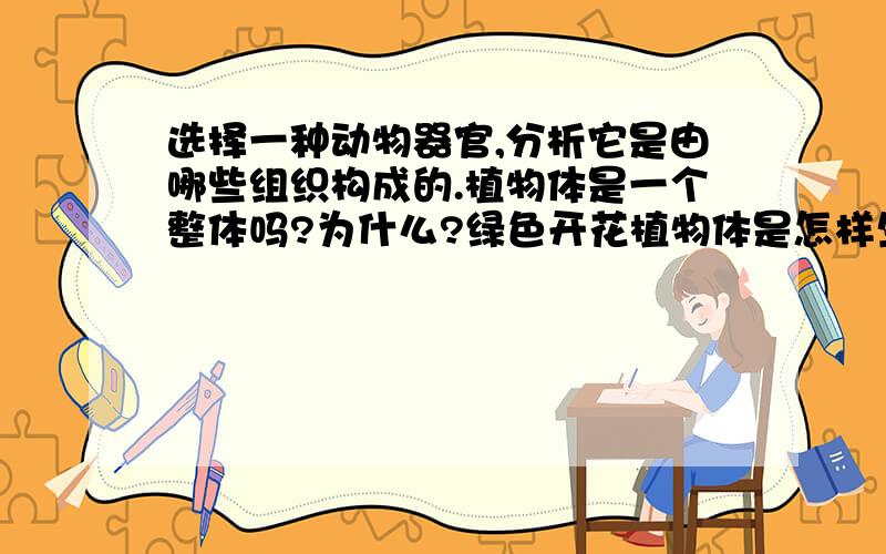 选择一种动物器官,分析它是由哪些组织构成的.植物体是一个整体吗?为什么?绿色开花植物体是怎样生活的?