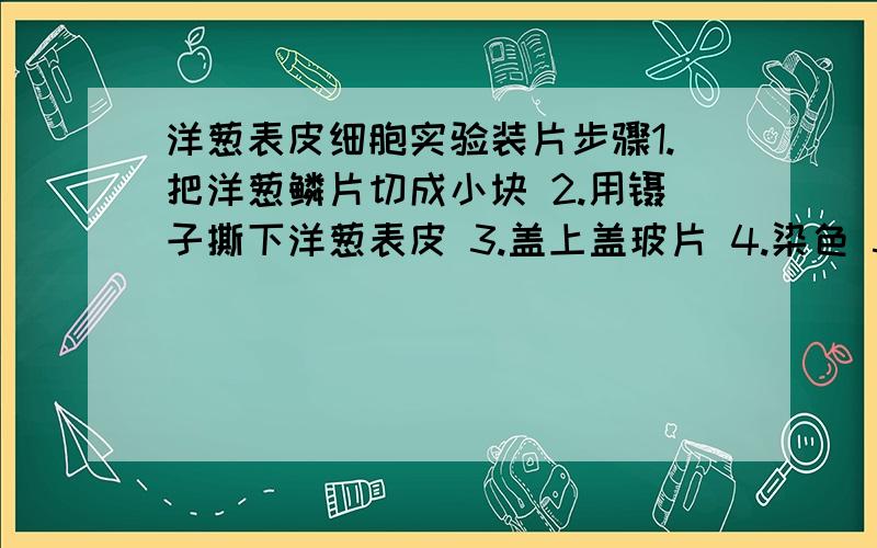 洋葱表皮细胞实验装片步骤1.把洋葱鳞片切成小块 2.用镊子撕下洋葱表皮 3.盖上盖玻片 4.染色 5.在显微镜下观察缺少了哪个关键的步骤