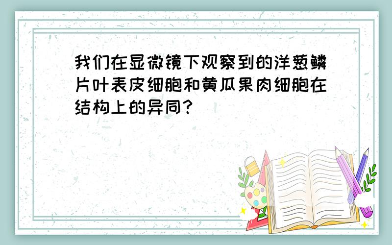 我们在显微镜下观察到的洋葱鳞片叶表皮细胞和黄瓜果肉细胞在结构上的异同?