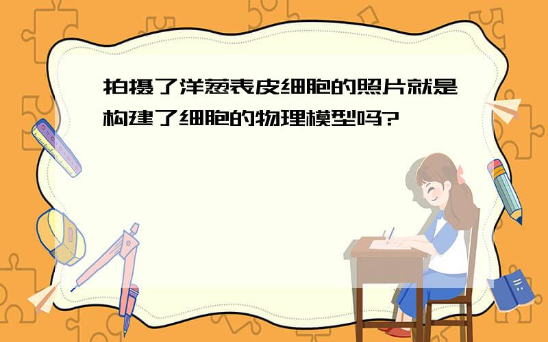 拍摄了洋葱表皮细胞的照片就是构建了细胞的物理模型吗?