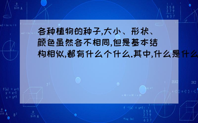 各种植物的种子,大小、形状、颜色虽然各不相同,但是基本结构相似,都有什么个什么.其中,什么是什么的幼体,是种子的主要部分