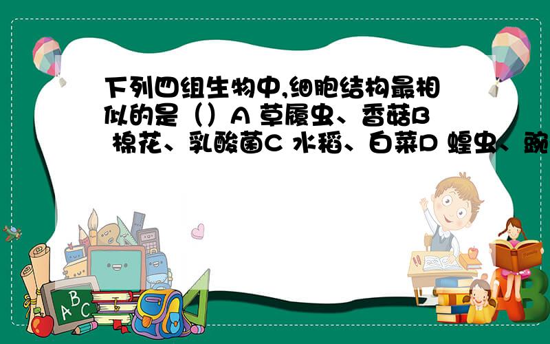 下列四组生物中,细胞结构最相似的是（）A 草履虫、香菇B 棉花、乳酸菌C 水稻、白菜D 蝗虫、豌豆选C,希望可以有ABD的详细分析