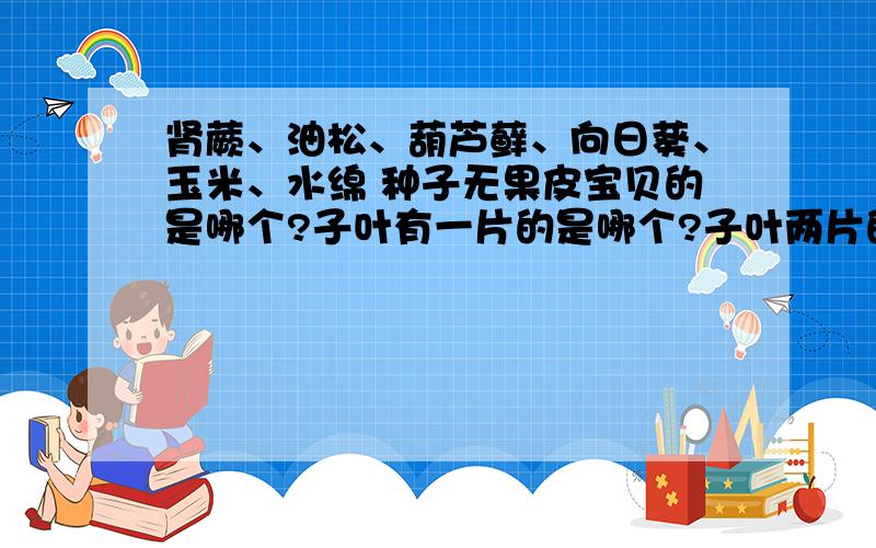 肾蕨、油松、葫芦藓、向日葵、玉米、水绵 种子无果皮宝贝的是哪个?子叶有一片的是哪个?子叶两片的哪个?