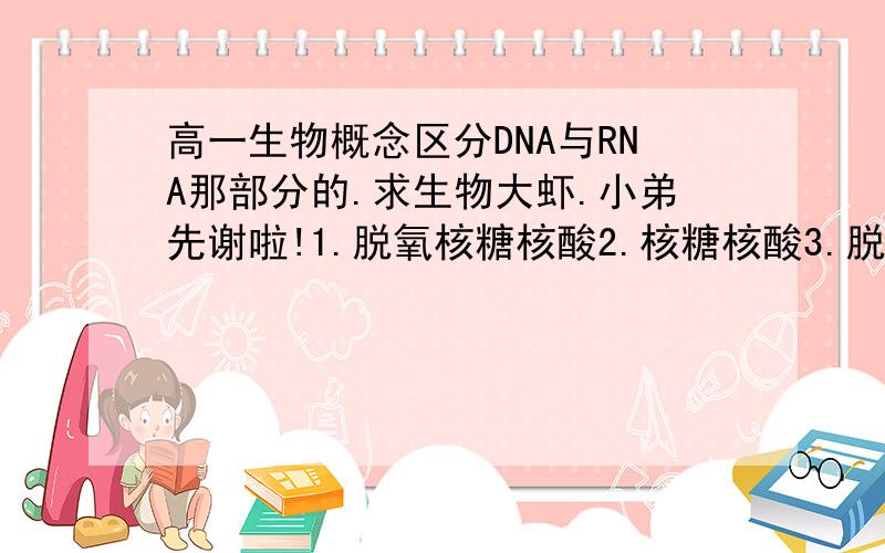 高一生物概念区分DNA与RNA那部分的.求生物大虾.小弟先谢啦!1.脱氧核糖核酸2.核糖核酸3.脱氧核苷酸4.核酸5.核苷酸6.五碳糖