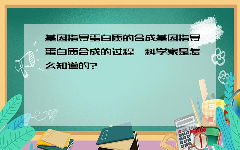 基因指导蛋白质的合成基因指导蛋白质合成的过程,科学家是怎么知道的?