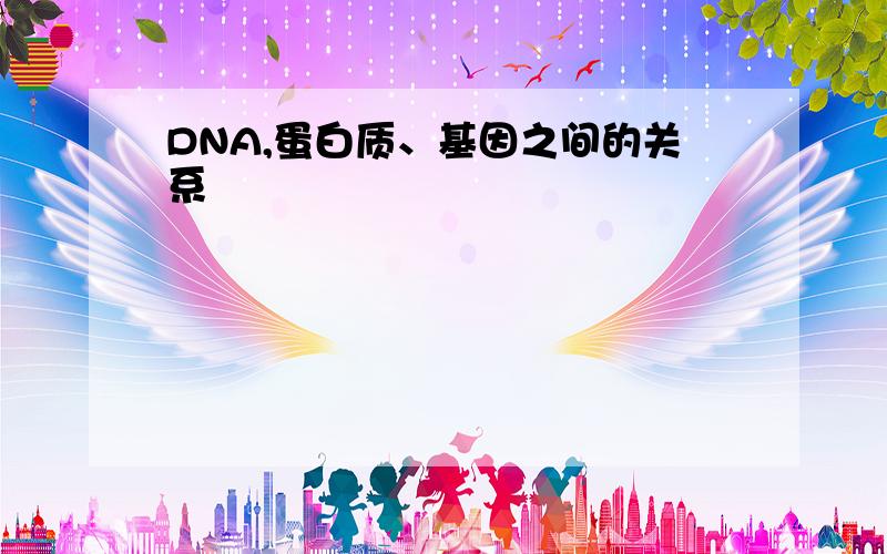 DNA,蛋白质、基因之间的关系