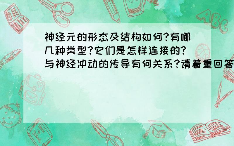 神经元的形态及结构如何?有哪几种类型?它们是怎样连接的?与神经冲动的传导有何关系?请着重回答后面两问,谢谢