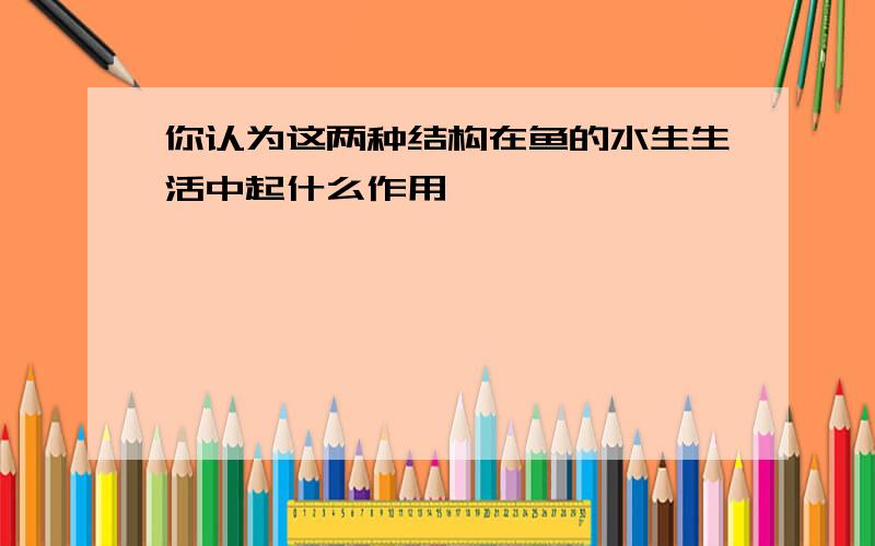 你认为这两种结构在鱼的水生生活中起什么作用