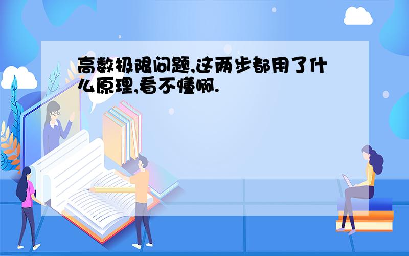 高数极限问题,这两步都用了什么原理,看不懂啊.