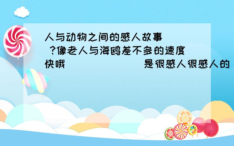 人与动物之间的感人故事    ?像老人与海鸥差不多的速度快哦              是很感人很感人的